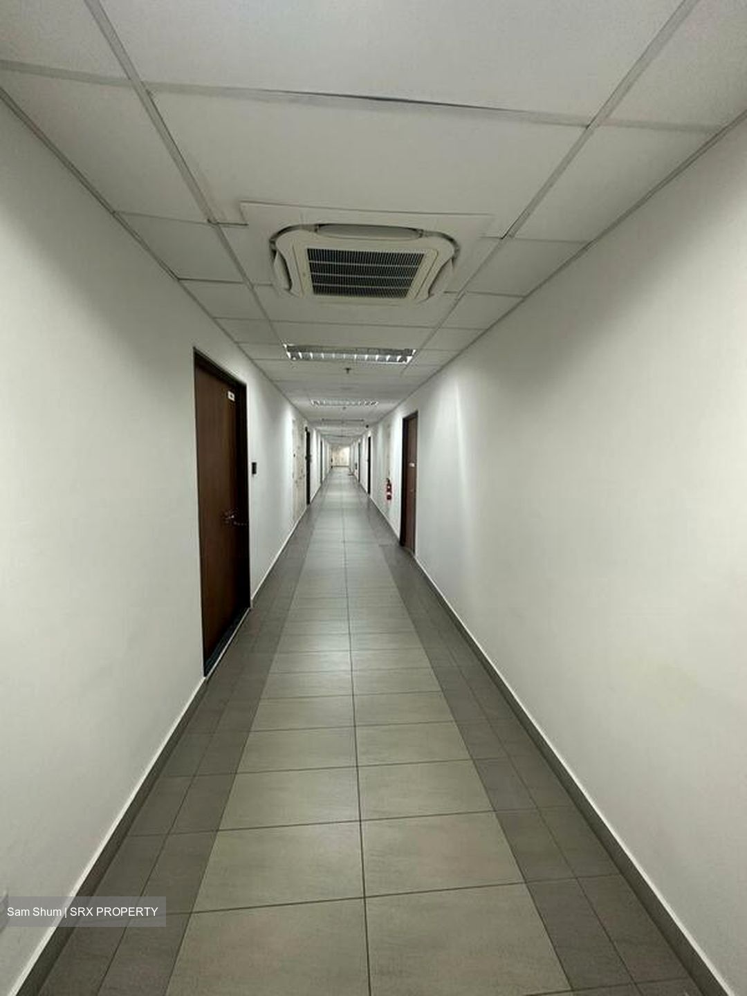 The Alexcier (D3), Factory #503422451